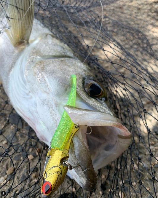 【 コアマン 】 IJ-16 アイアンジグヘッド 入荷しました!!