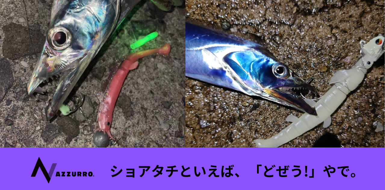 どぜう – フィッシングマックス WEBSHOP