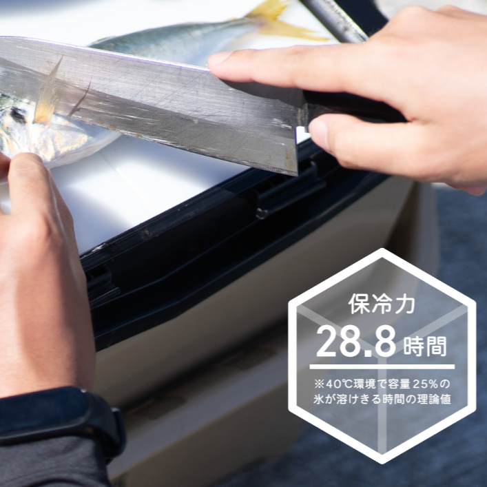 【DOD】ソクサバクーラー(10) CL1-102-TN