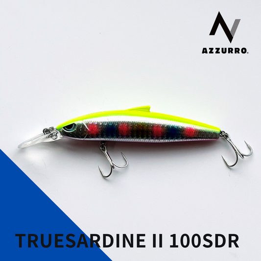 トゥルーサーディン2 100SDR 21g