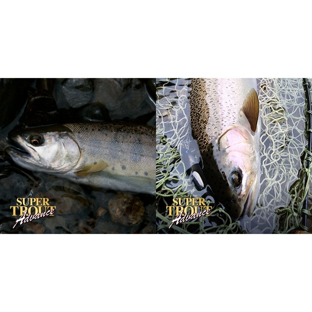 スーパートラウト アドバンス