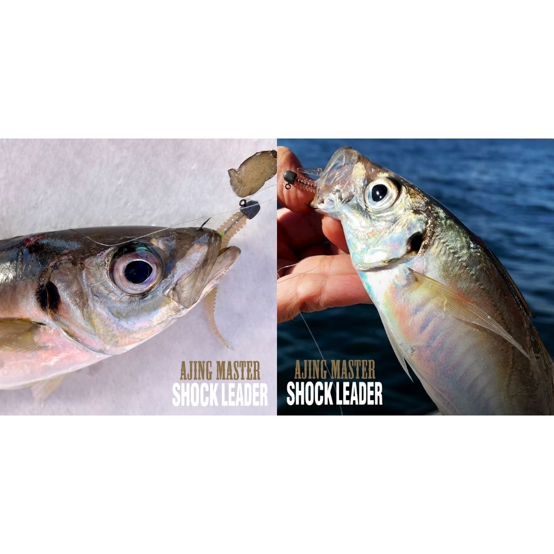 アジングマスターショックリーダーフロロ 30m