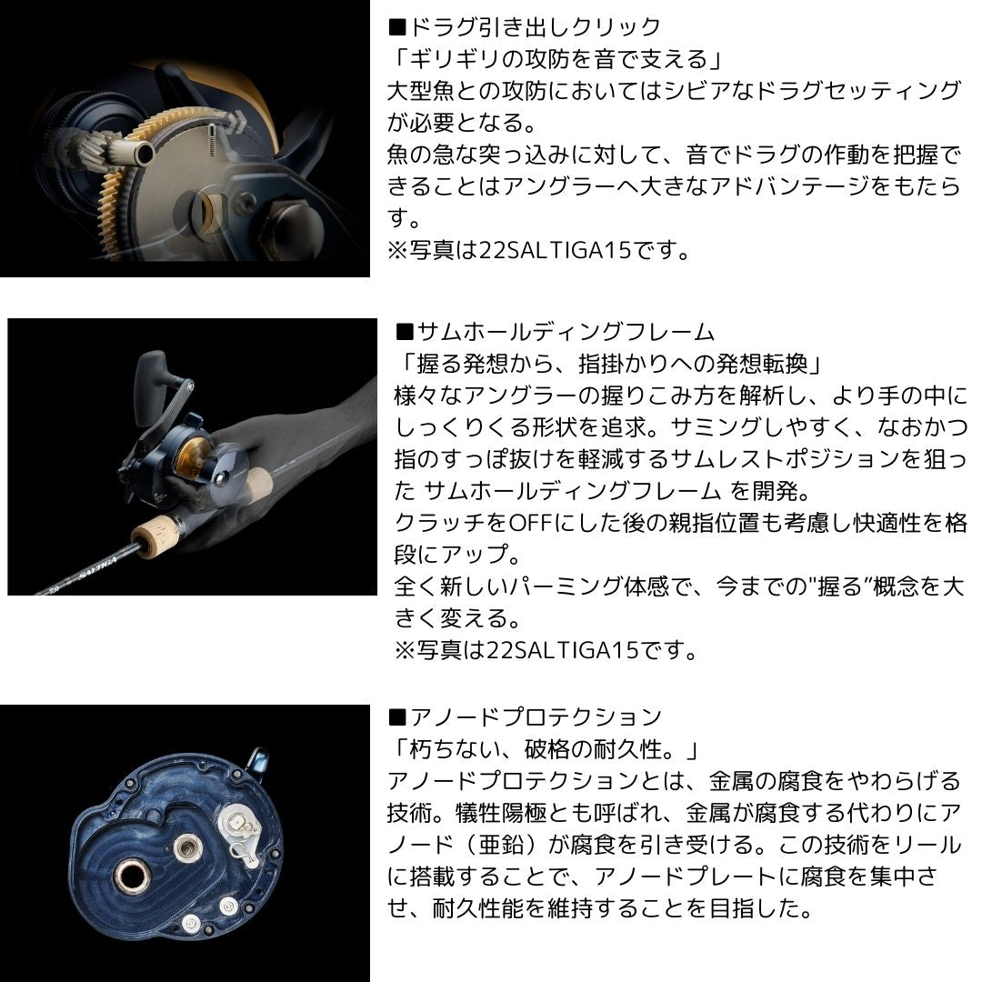 25 ソルティガ(ベイト)