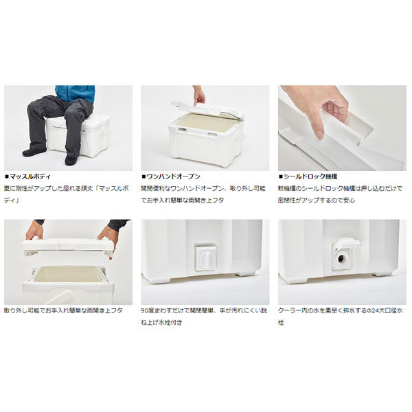 PV-REX 2200 大型便A 2023年新製品