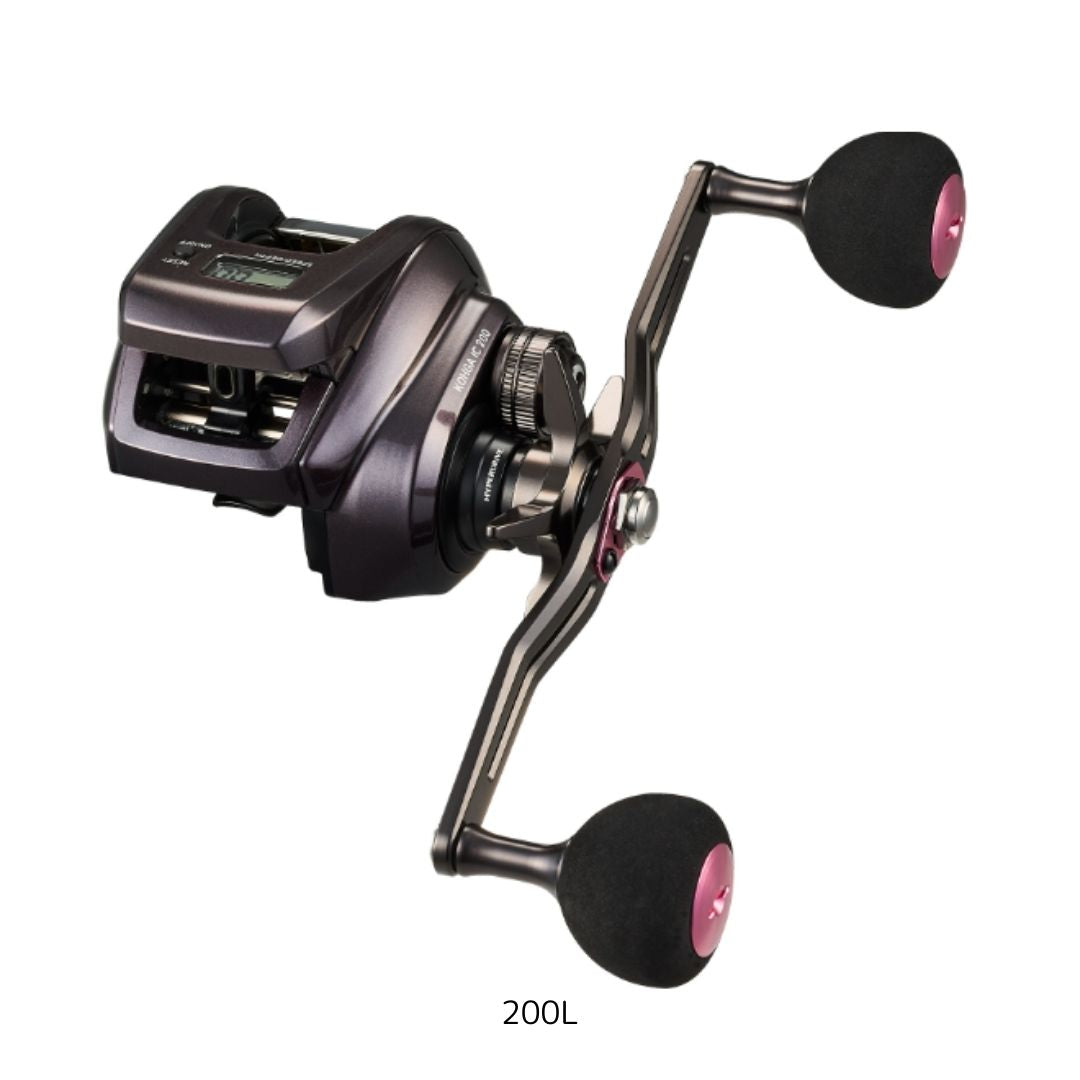 24 紅牙 IC ※一部 数量限定特価品