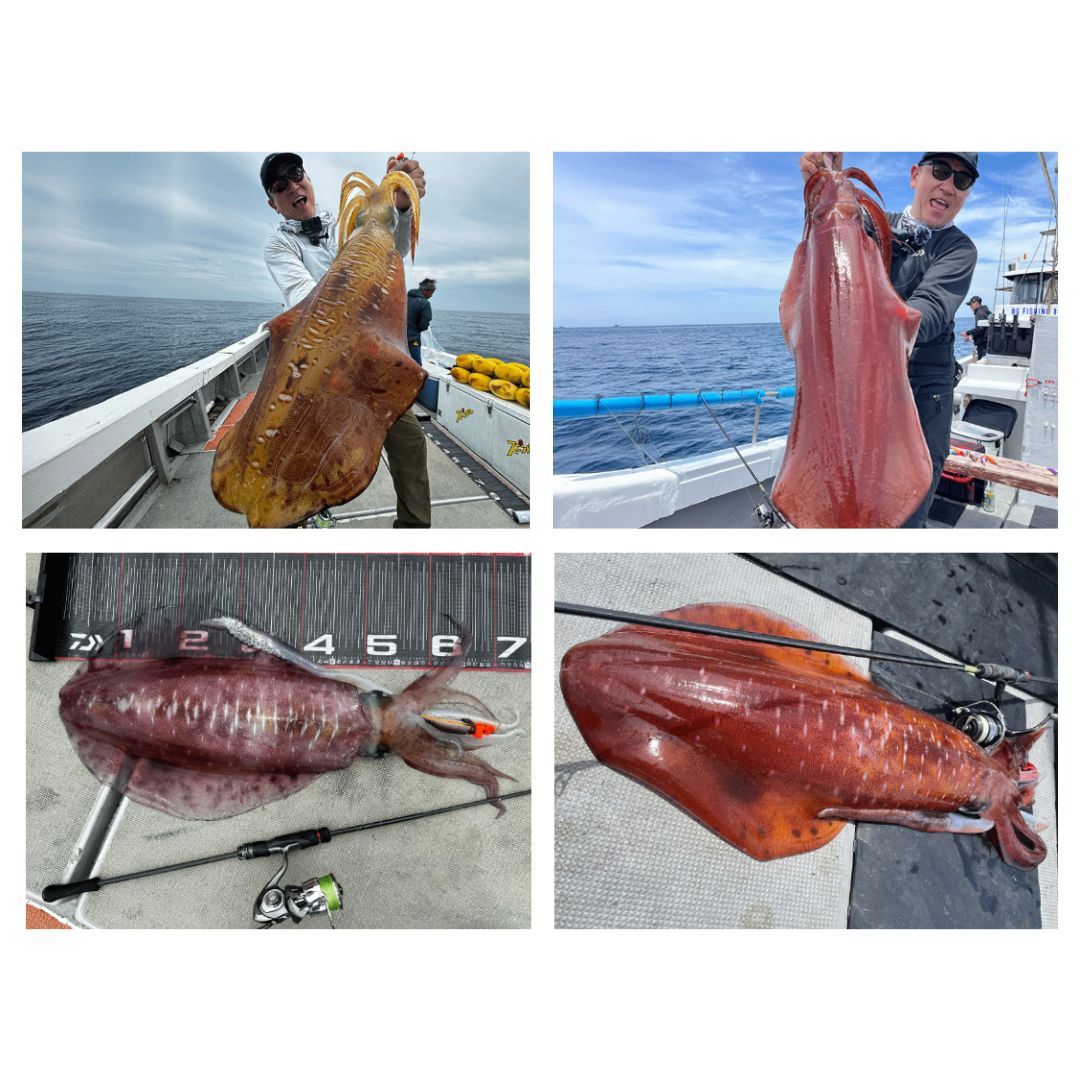 エメラルダス ストイスト ST(アウトガイドモデル)