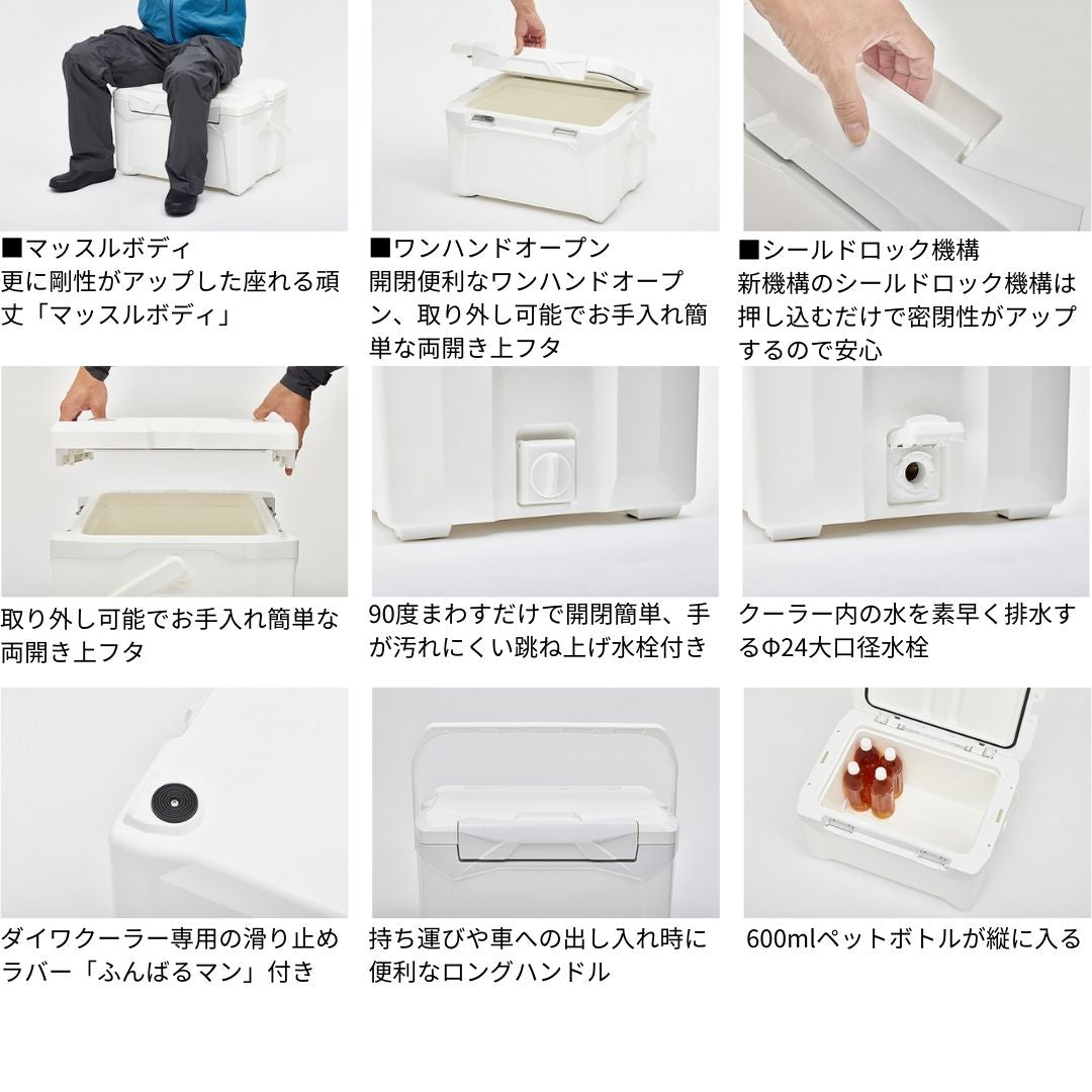 24 プロバイザーREX ZSS EX ホロシルバー