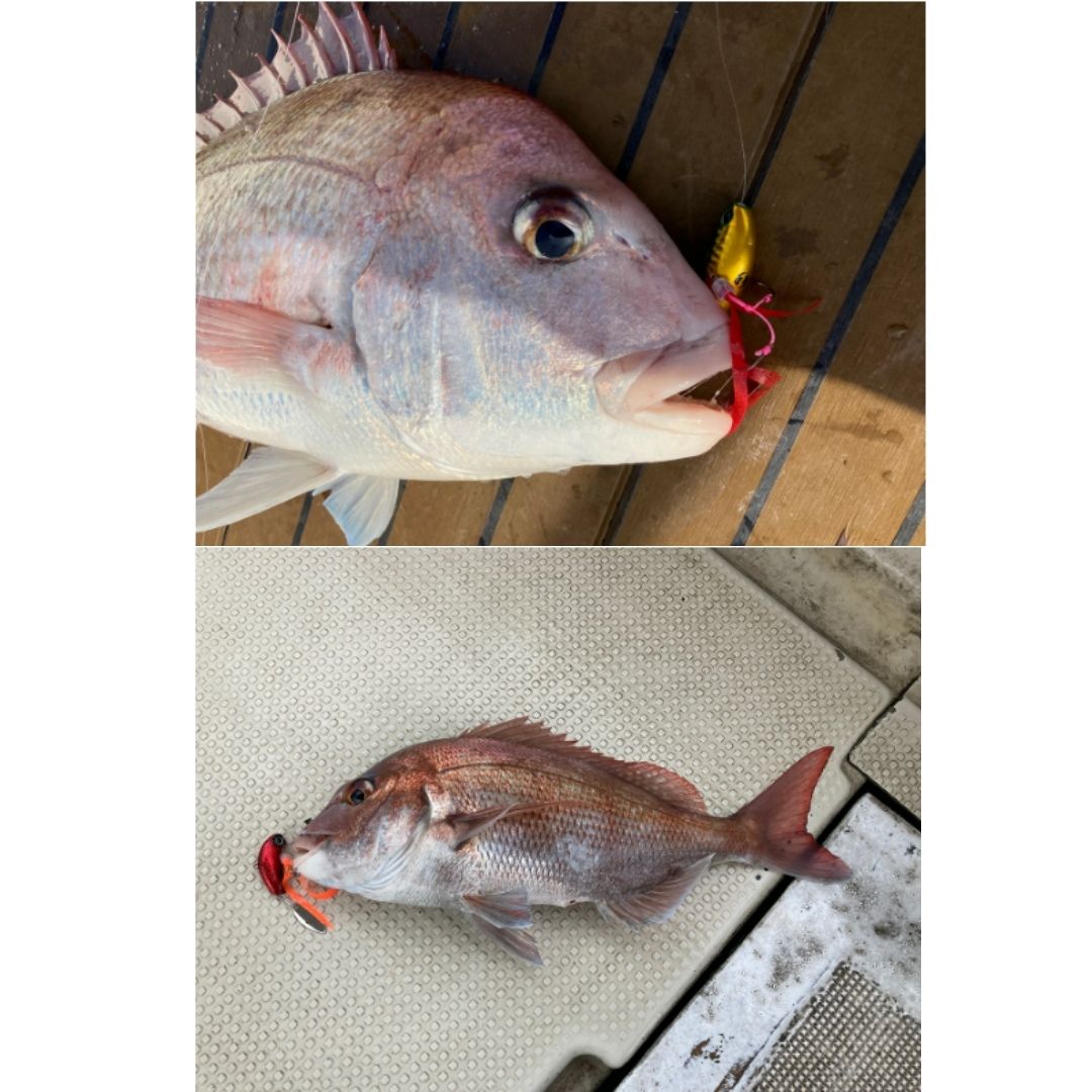 紅牙ブレードブレーカー玉神