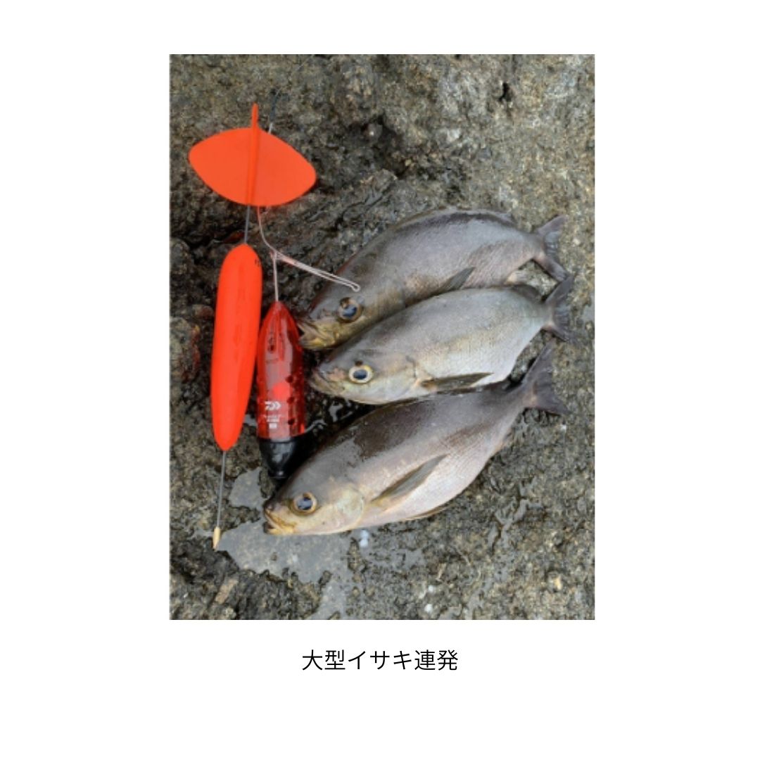 ジェットライナー カゴ遠投
