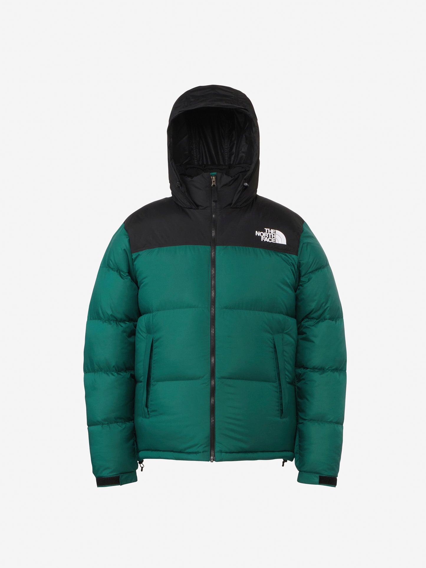 ヌプシジャケット(メンズ)TG TNFグリーン ND92335