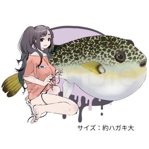 ジェイライク フィッシュアートステッカー