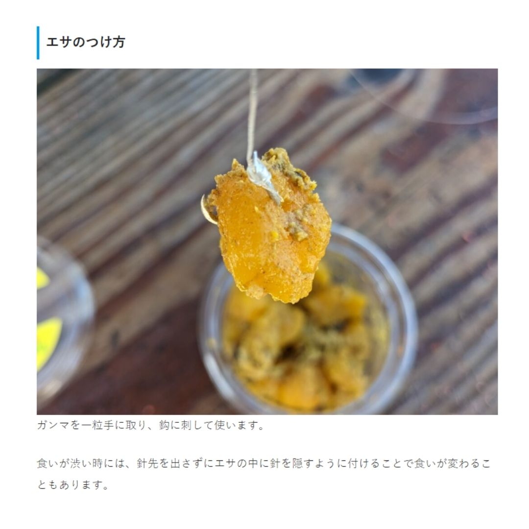快釣エサ γ (ガンマ) クール便