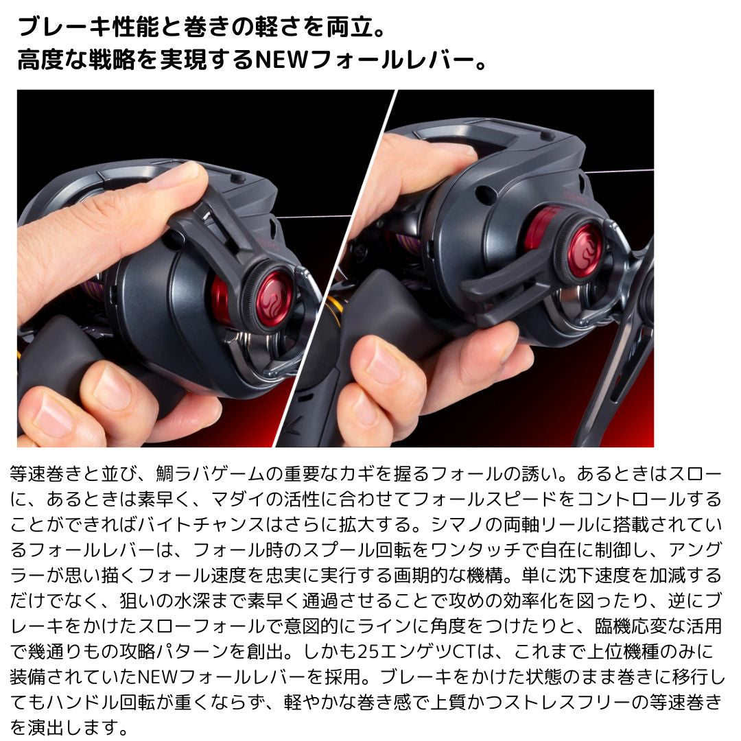 25 エンゲツCT サマーセールWEB限定価格(151HG/151PG除く)