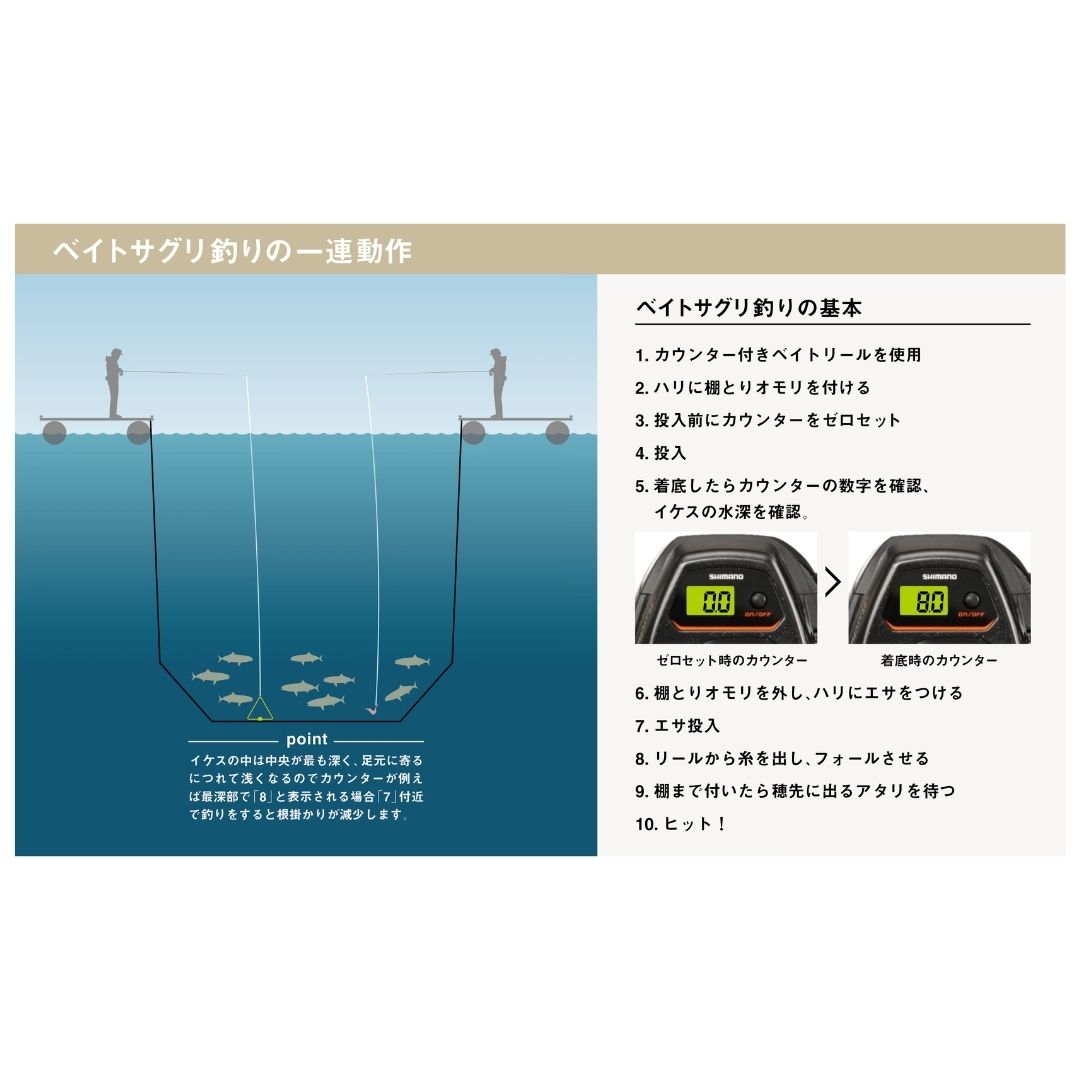 25 シーリア ベイトサグリ