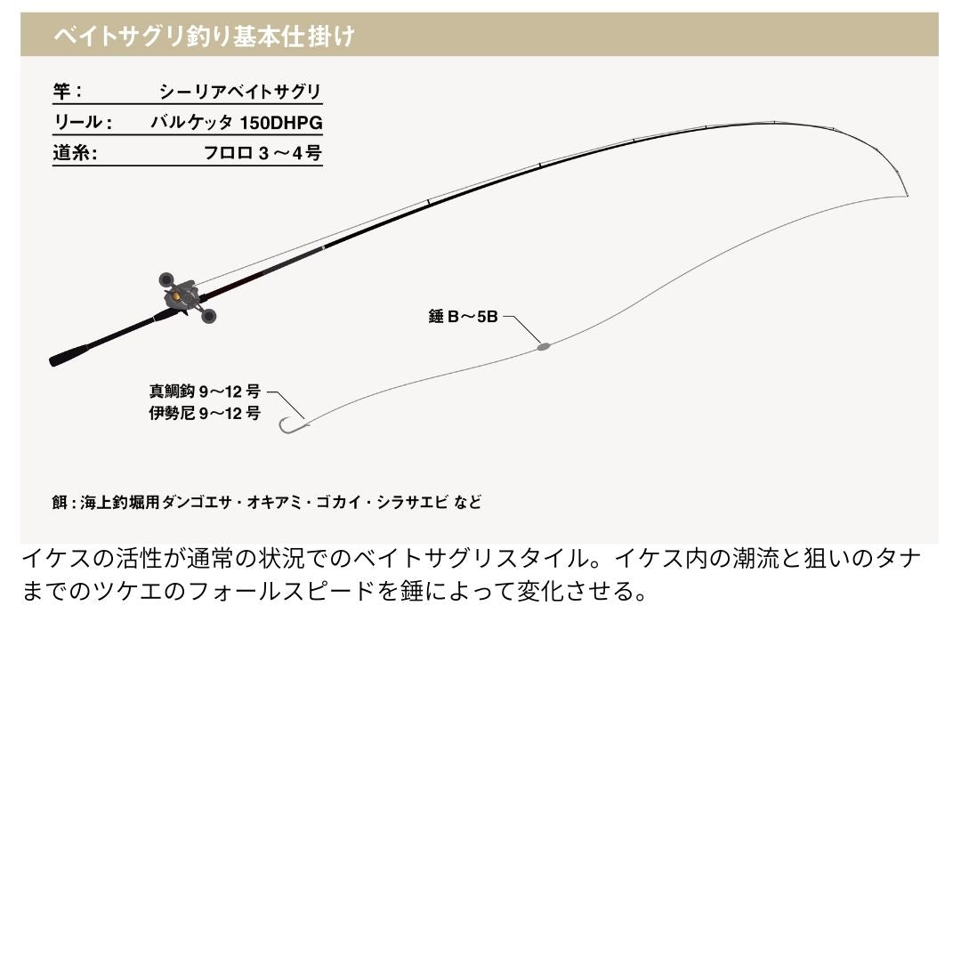 25 シーリア ベイトサグリ