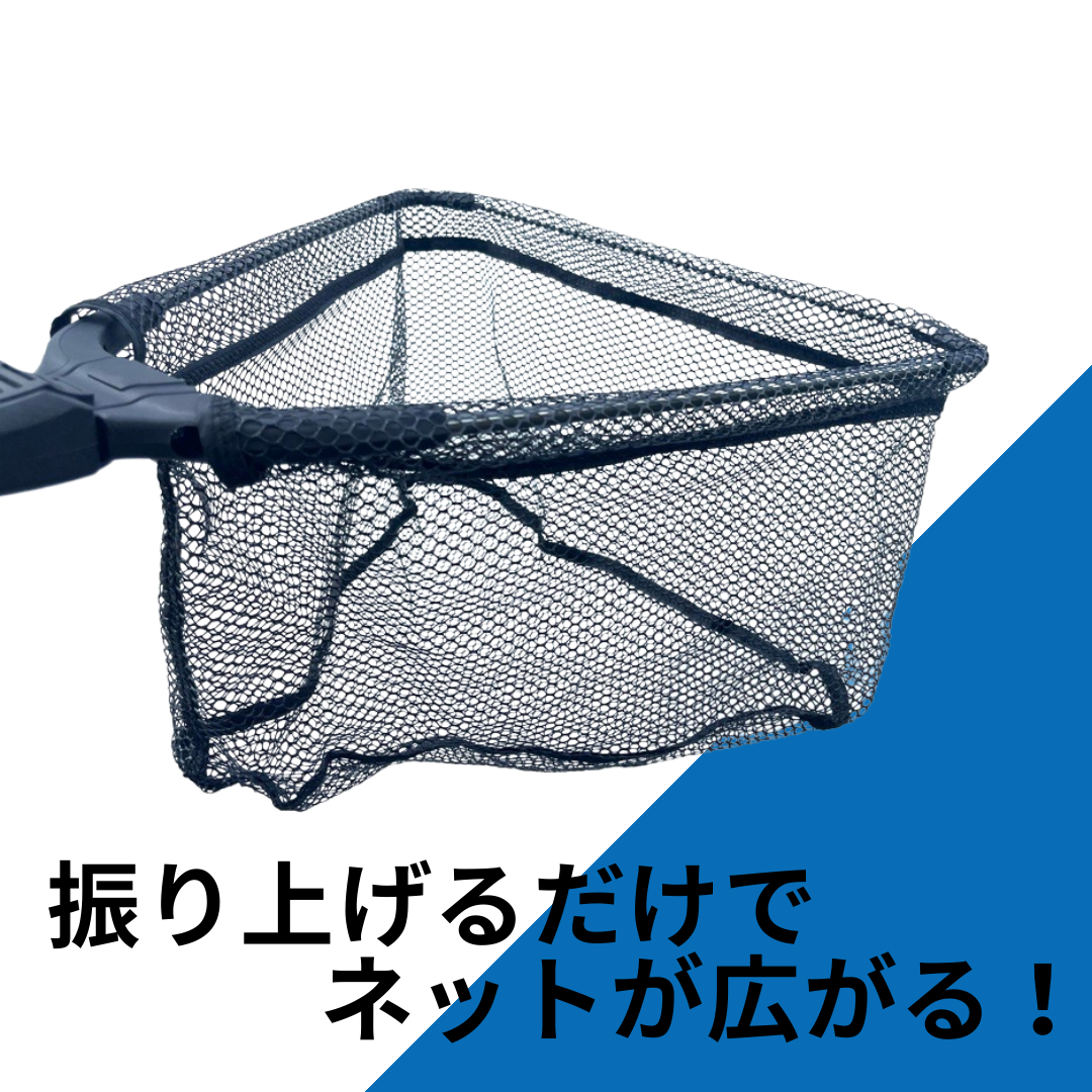 【AZZURRO】ランガンマルチネット