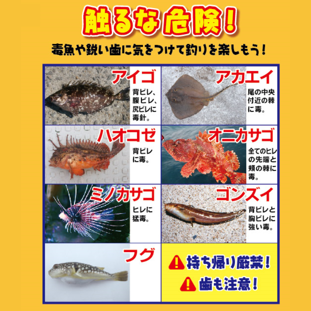 【100日保証付き】サビキ釣り/ちょい投げスタートセット