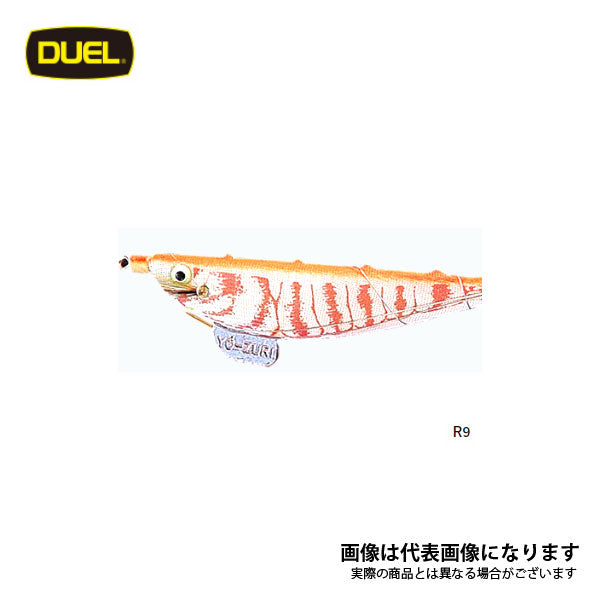 エビスッテコウイカ