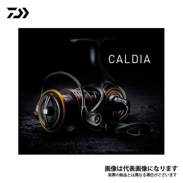 ダイワ caldia  LT3000-CXH