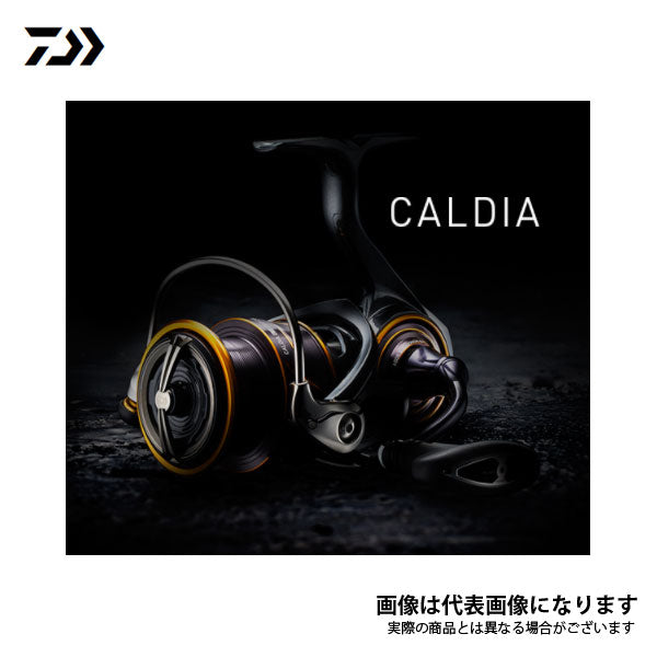 カルディア LT3000 ※数量限定特価品