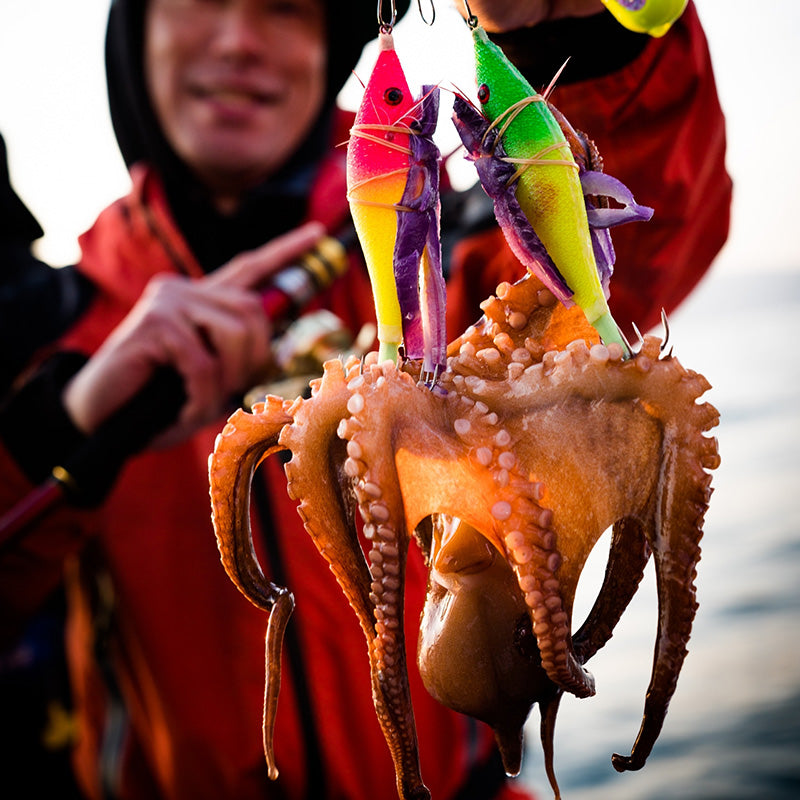 ぐるぐるドラゴン