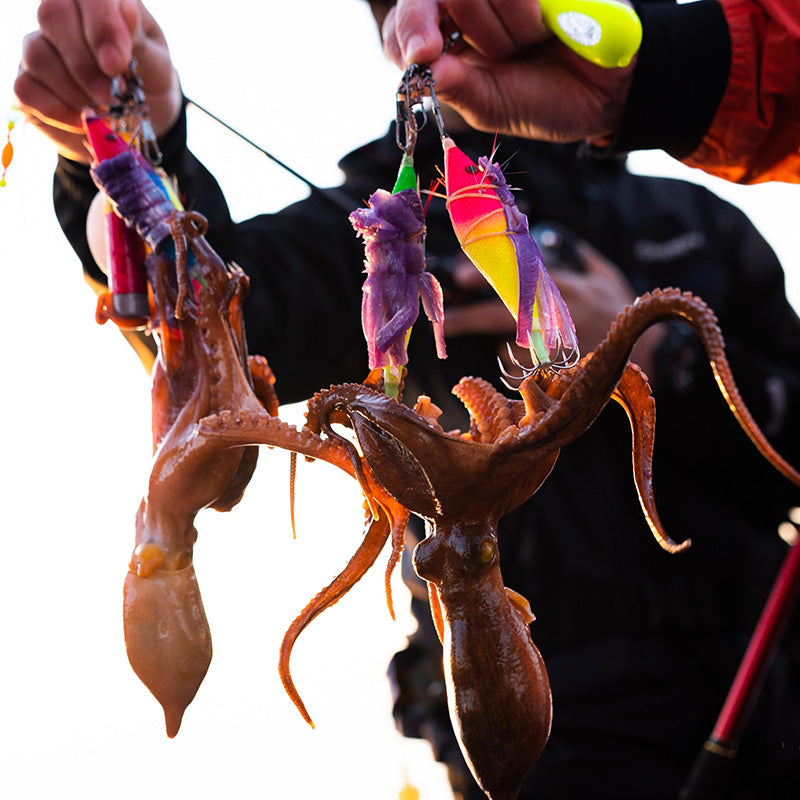 ぐるぐるドラゴン