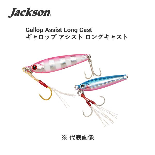 ギャロップアシスト ロングキャスト 10g 35mm – フィッシング
