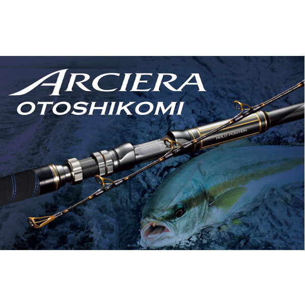 20アルシエラ 落し込み H230