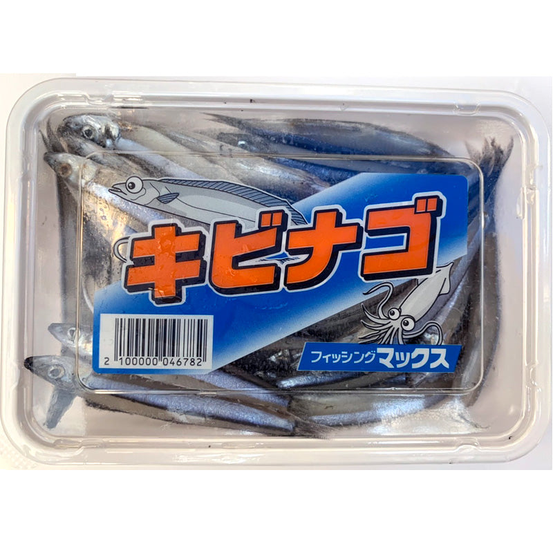 キビナゴ
