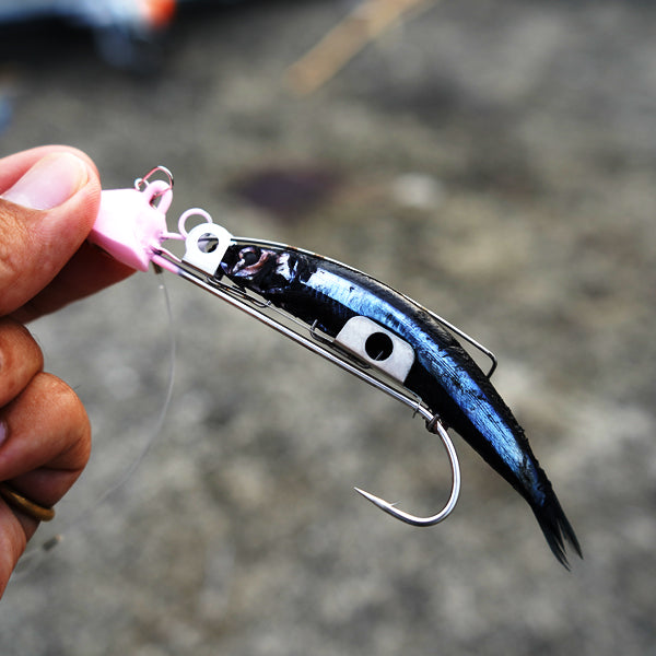 赤 キビナゴ RED