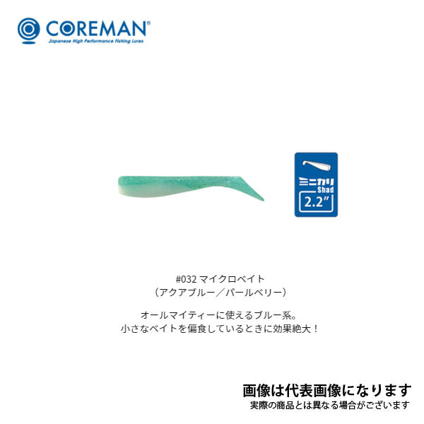 コアマン ミニマムルアーケース