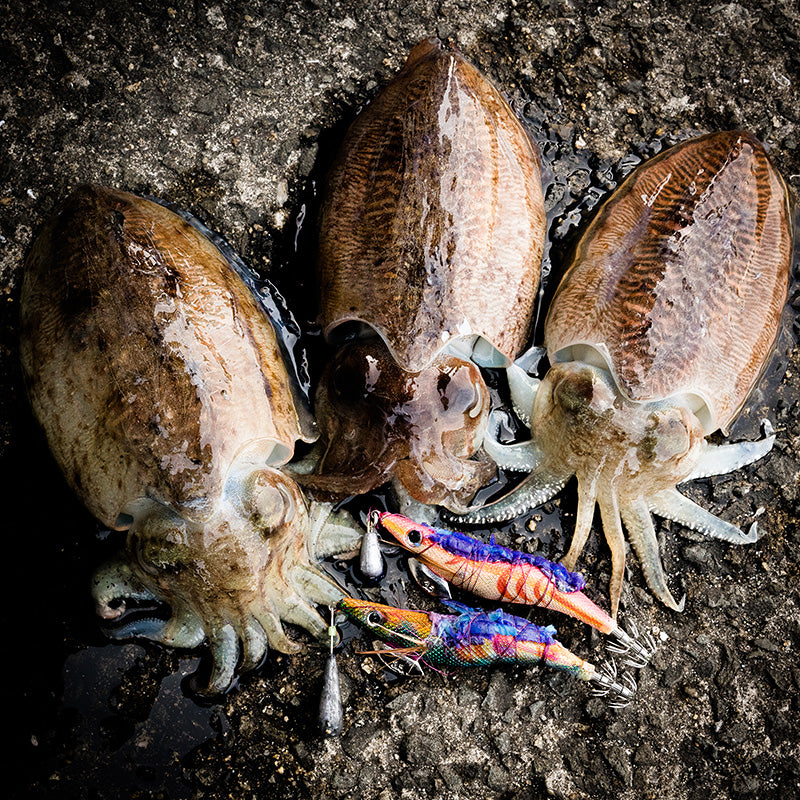 ぐるぐるドラゴン