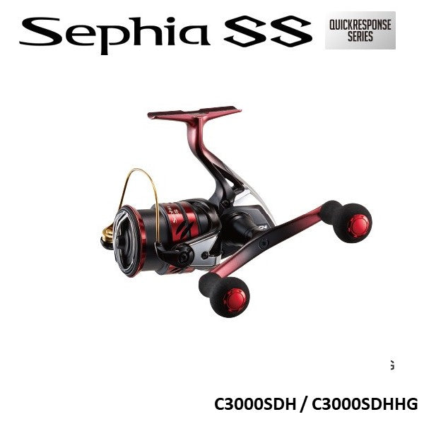 19 セフィア SS 数量限定特価