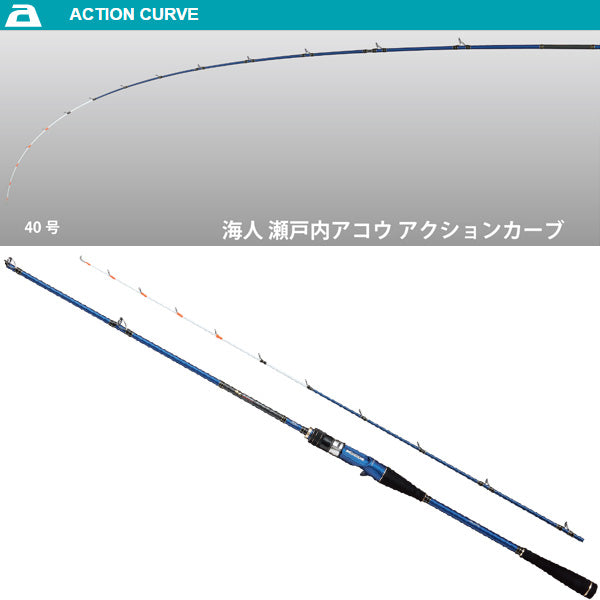 海人 瀬戸内アコウ 210 数量限定特価品