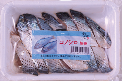 コノシロ短冊 パック