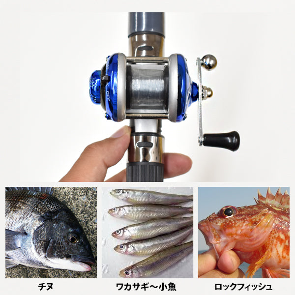 ブルーマーレ 波止ミニ両軸 ブルー