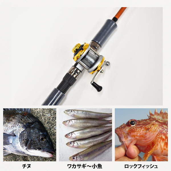 ブルーマーレ 波止ミニ両軸 ゴールド