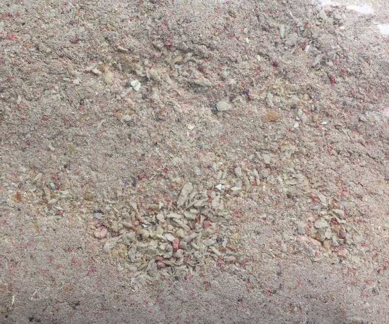 グレパワー沖撃ちスペシャル