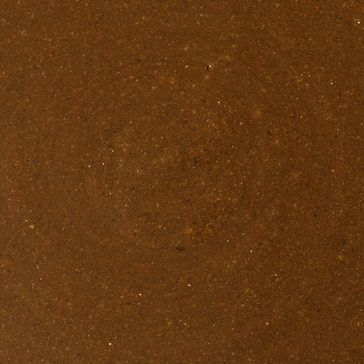 大物にこれだ!!