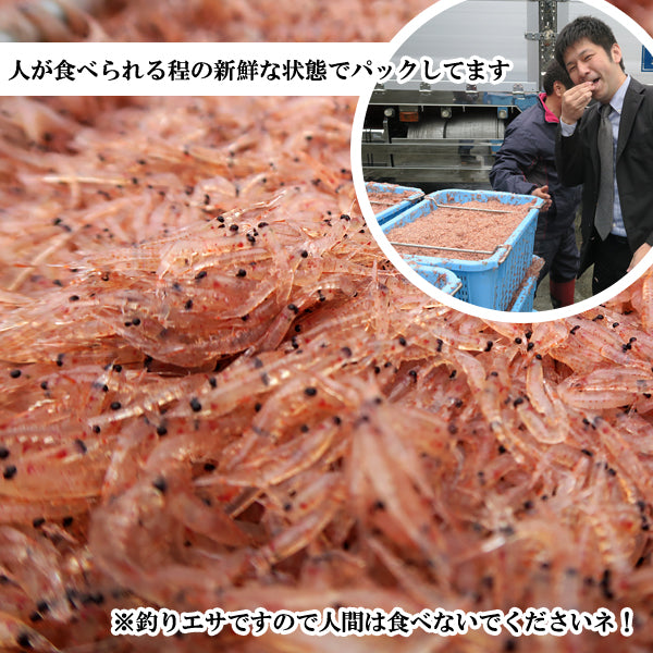 アミエビ ファミリー用 クール便