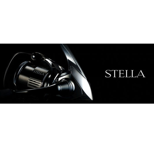 22 ステラ サマーセールWEB限定価格(4000M除く)