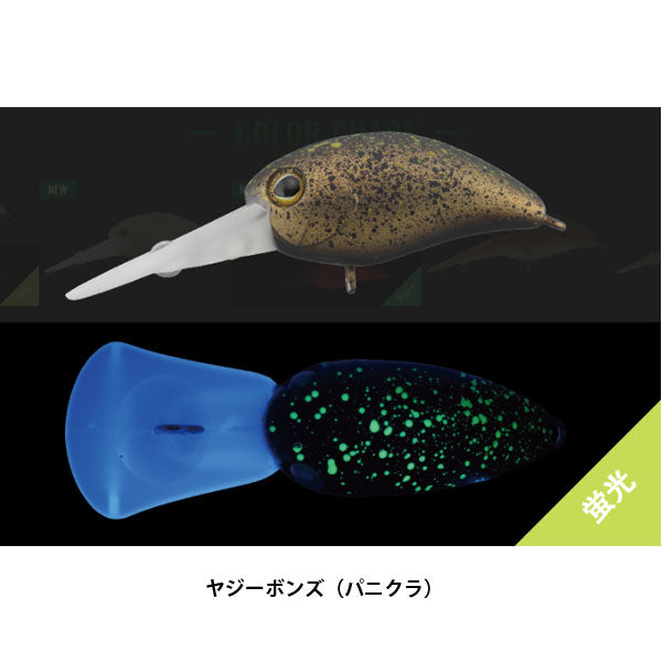 パニクラDR