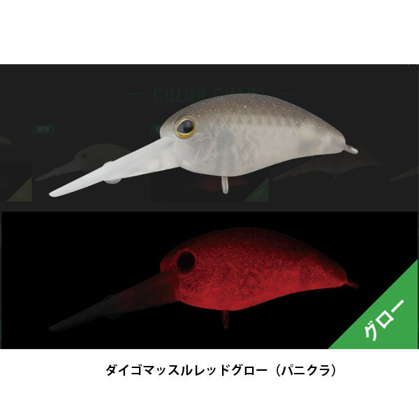 パニクラDR