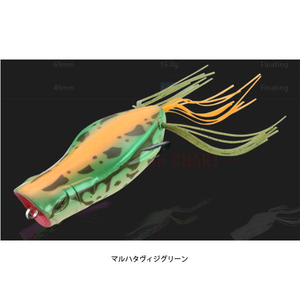 ガヴァチョフロッグ