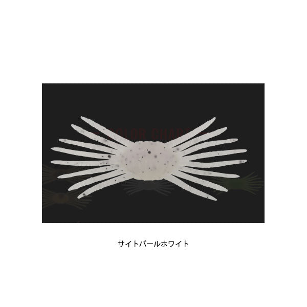 ドリフトクラブ ミニ
