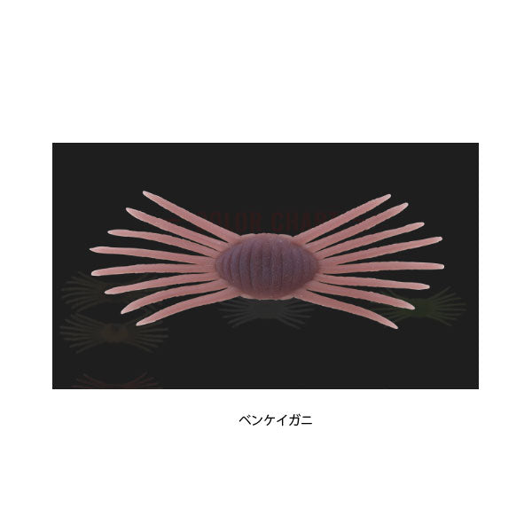 ドリフトクラブ ミニ