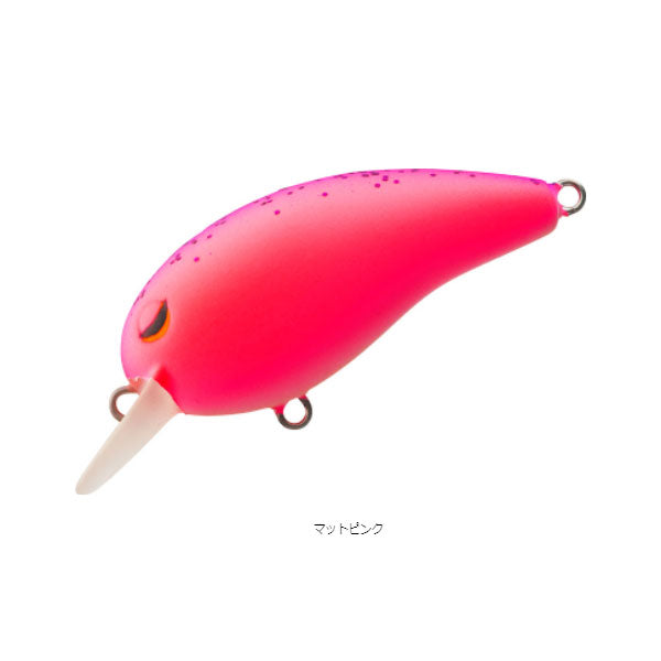 タイニーピーナッツ SSR