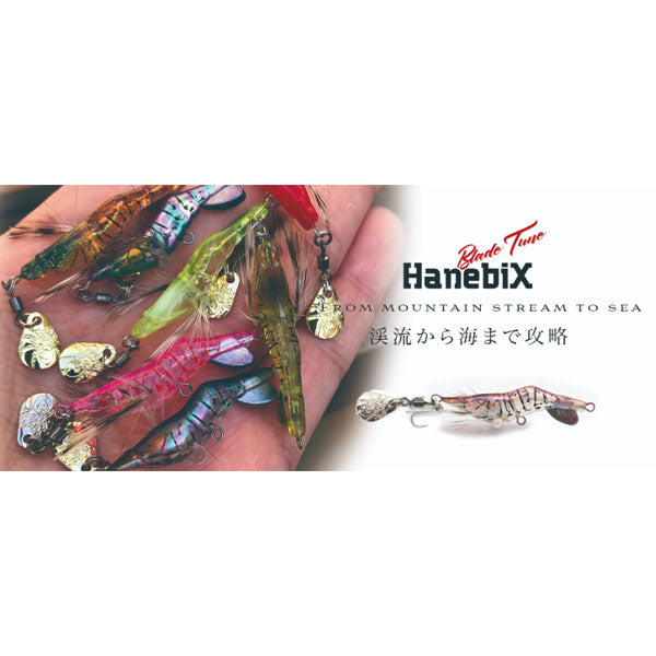 はぴ NEW PRODUCT CHIBI ZX | INFORMATION | trout nories
