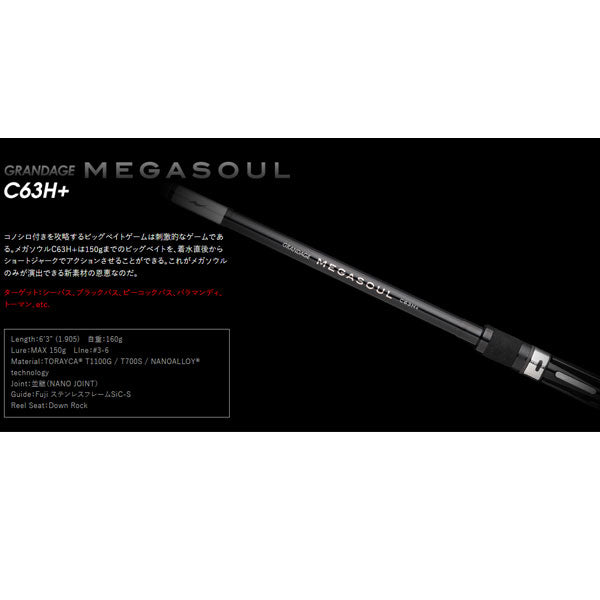 GRANDAGE MEGASOUL C63H+ 大型便