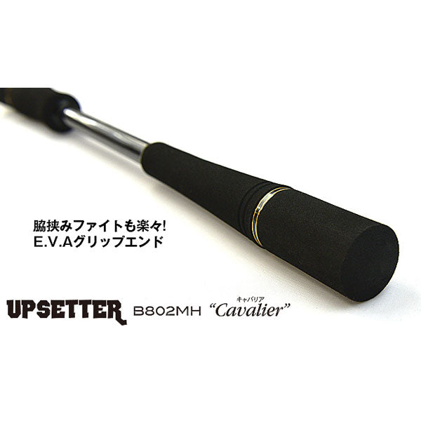 ティクト アップセッター UPSETTER B802MH